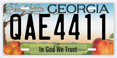 GA license plate QAE4411