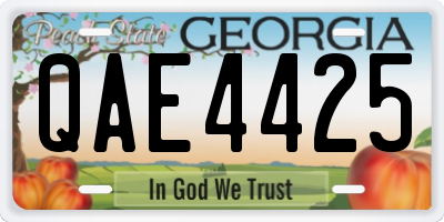 GA license plate QAE4425