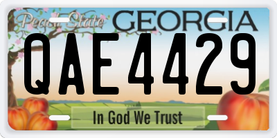GA license plate QAE4429