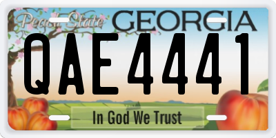 GA license plate QAE4441