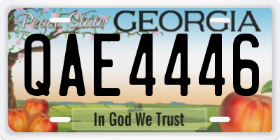 GA license plate QAE4446