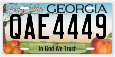 GA license plate QAE4449