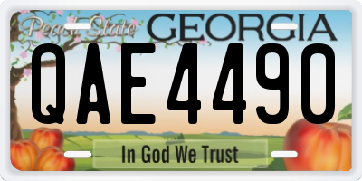 GA license plate QAE4490
