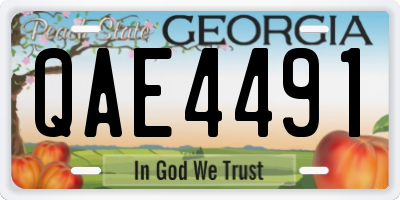 GA license plate QAE4491