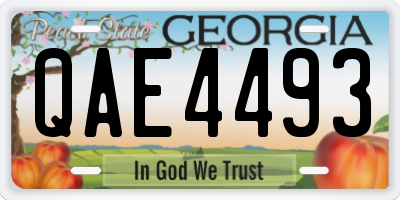 GA license plate QAE4493