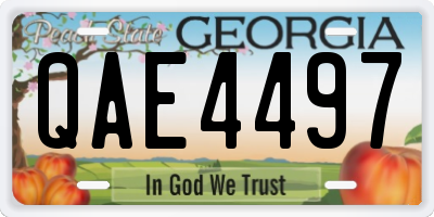 GA license plate QAE4497