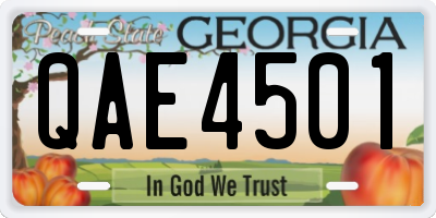 GA license plate QAE4501