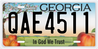 GA license plate QAE4511