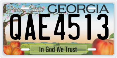 GA license plate QAE4513