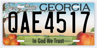 GA license plate QAE4517