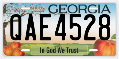 GA license plate QAE4528