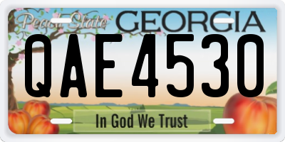 GA license plate QAE4530