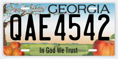 GA license plate QAE4542