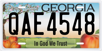GA license plate QAE4548