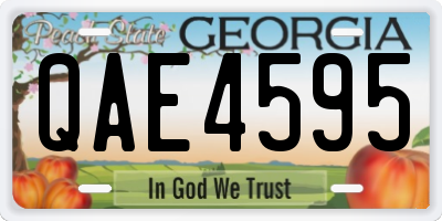 GA license plate QAE4595