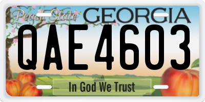 GA license plate QAE4603