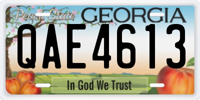 GA license plate QAE4613