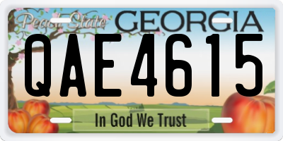 GA license plate QAE4615