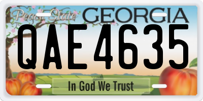 GA license plate QAE4635