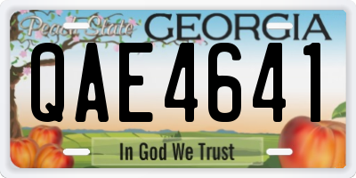 GA license plate QAE4641