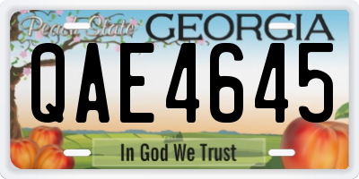 GA license plate QAE4645