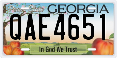 GA license plate QAE4651