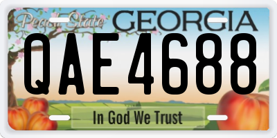 GA license plate QAE4688