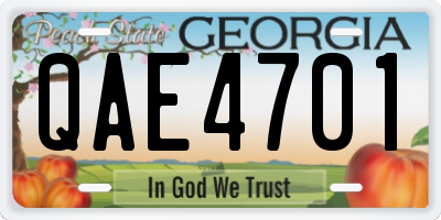 GA license plate QAE4701