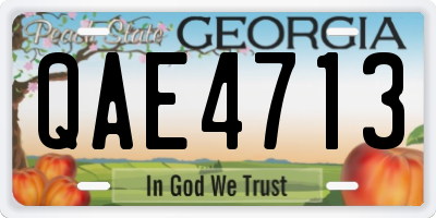 GA license plate QAE4713