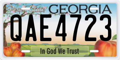 GA license plate QAE4723
