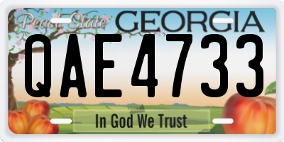 GA license plate QAE4733