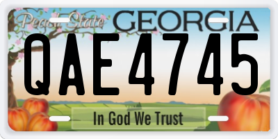 GA license plate QAE4745