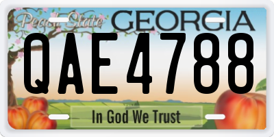 GA license plate QAE4788