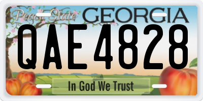 GA license plate QAE4828