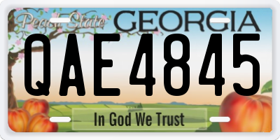 GA license plate QAE4845