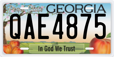 GA license plate QAE4875