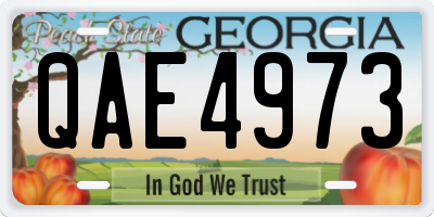 GA license plate QAE4973