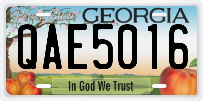 GA license plate QAE5016