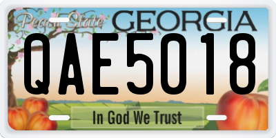GA license plate QAE5018
