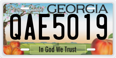 GA license plate QAE5019