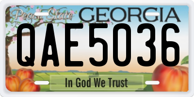 GA license plate QAE5036