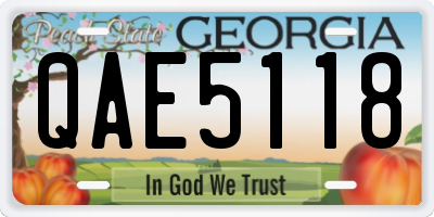 GA license plate QAE5118