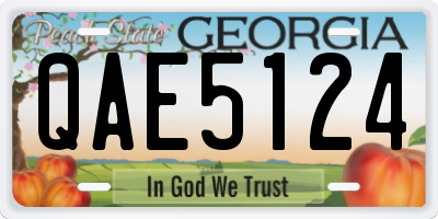 GA license plate QAE5124