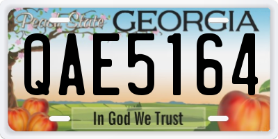 GA license plate QAE5164