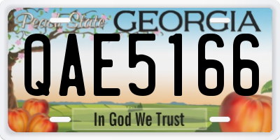GA license plate QAE5166