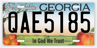 GA license plate QAE5185
