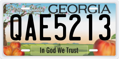 GA license plate QAE5213