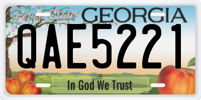 GA license plate QAE5221