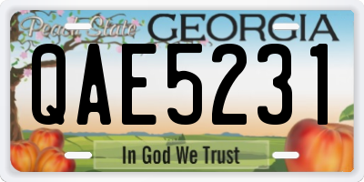 GA license plate QAE5231