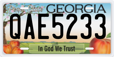 GA license plate QAE5233